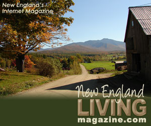 NE Living Magazine